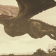 All Images: Bottleneck Gallery
